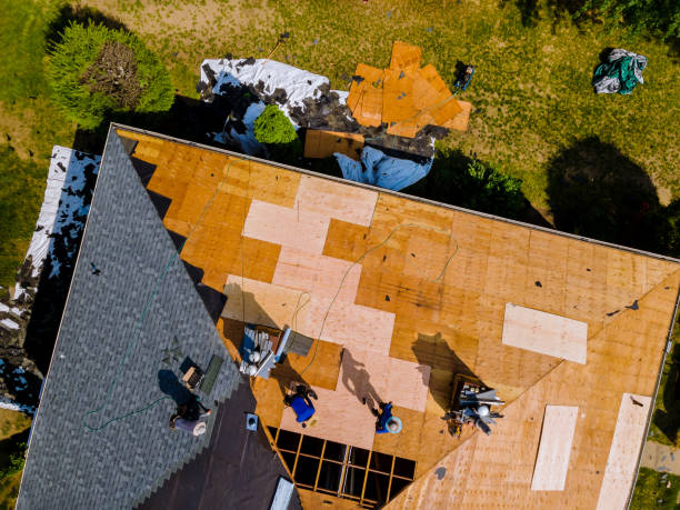 Professional Roofing Contractor in Wailuku, HI