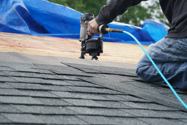 Best Roof Gutter Cleaning  in Wailuku, HI