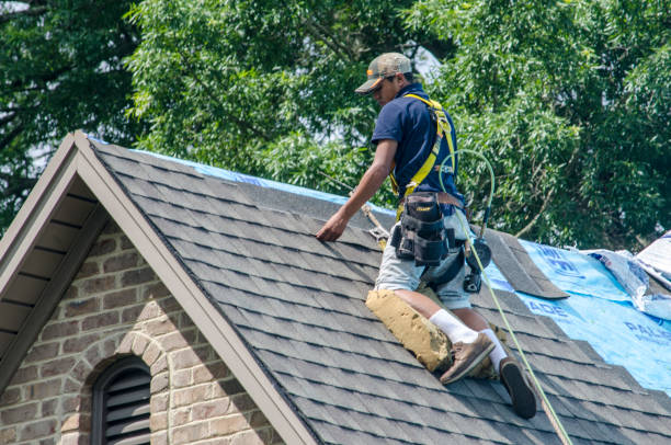 Quick and Trustworthy Emergency Roof Repair Services in Wailuku, HI