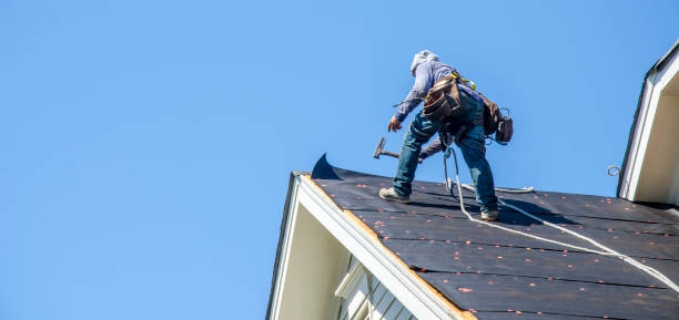 Sealant for Roof in Wailuku, HI